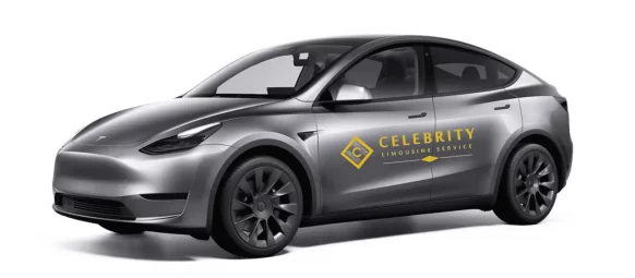 Tesla model y transfer